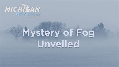 The Role of Absorbing Magical Fog in Spell Rituals